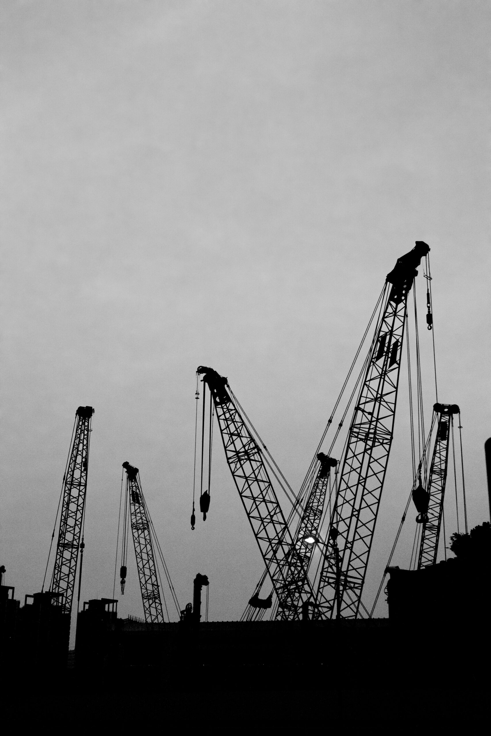 cranes2